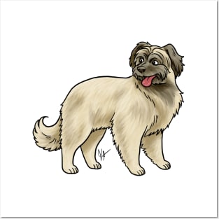 Dog - Pyrenean Shepherd - Fawn Posters and Art